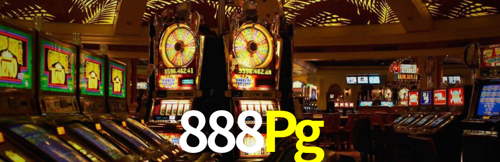 Premium Interface 888Pg